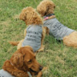 Meet your Posher, Robin